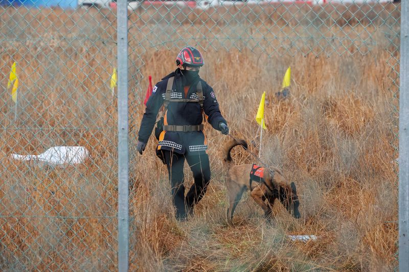 South Korea orders air safety probe after worst crash in country kills 179